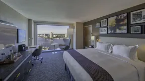 Hilton Norfolk The Main - Chambre