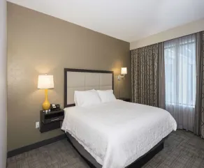 Hampton Inn & Suites Minneapolis University Area - Chambre