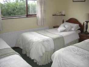Springlawn Bed and Breakfast - Room
