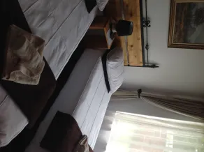 Gorgeous Gecko Guesthouse - Værelse