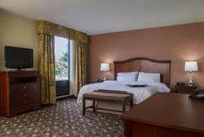 Hampton Inn Brattleboro - Chambre