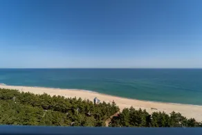Gangneung PINEART Label - View from room