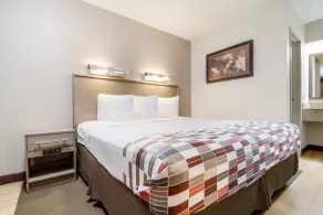 Red Roof Inn Detroit - Farmington Hills - Chambre