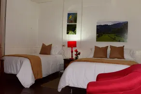 Ecohotel Pinohermoso Reserva Natural - Room