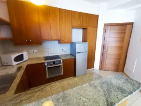 Paradise Palms Seaview Apartment - Privat køkken