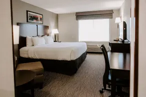 Wingate by Wyndham - Dulles International - Chambre