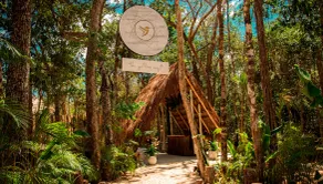 The Yellow Nest Tulum - Rezeption