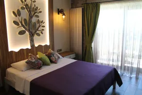 Assos Zeytinhan Hotel Special Class - Chambre