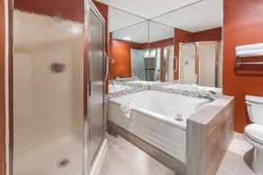 Wingate by Wyndham Canton/Hall of Fame - Salle de bain