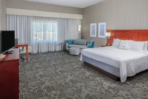Courtyard by Marriott Houston Medical Center/NRG Park - Room