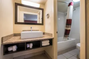 Red Roof Inn North Dallas - Park Central - Badezimmer