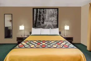 Super 8 by Wyndham Ionia MI - Rom