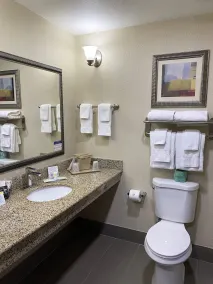 Comfort Suites Kings Bay Naval Base Area - Salle de bain