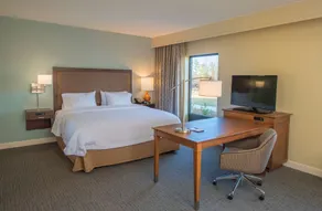 Hampton Inn & Suites Braselton - Chambre