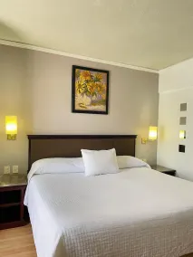 Hotel Arroyo de la Plata - Chambre