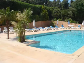 Motel Les Pins Calvi - Piscine