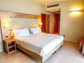Tower Hotel Malpensa - Chambre