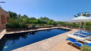 Les Palmiers d'anis - Pool