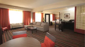 The Holiday Inn Amarillo West Medical Center by IHG - Chambre