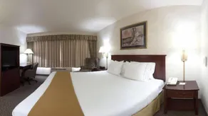 Holiday Inn Express Hotel & Suites Fort Atkinson by IHG - Værelse