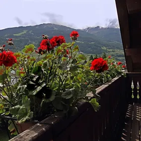 Chalet Stelle Di Neve - Vistas desde la habitación