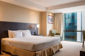 Hilton Mendoza - Vistas desde la habitación