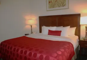 Ramada by Wyndham Denver International Airport - Chambre
