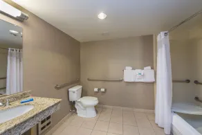 Holiday Inn Express Hotel & Suites Auburn by IHG - Salle de bain