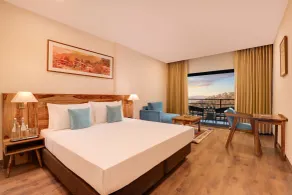 Lemon Tree Hotel, Kasauli - Room