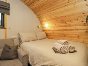 Forest - Room