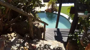 African Violet - Loft Living - Pool