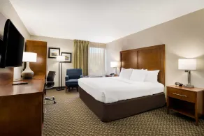 Comfort Inn Lexington Virginia Horse Center - Room