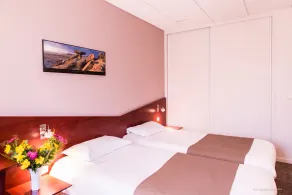 Hôtel du Palois - Pau Centre Bosquet - Værelse