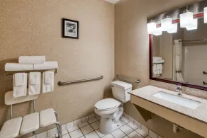 Quality Inn & Suites Springfield Southwest near I-72 - Salle de bain