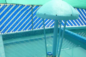 Hotel Puente Inn - Pool