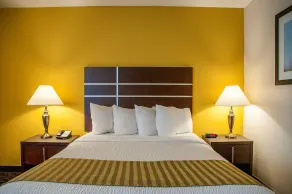 Best Western Village Inn - Chambre