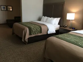 Comfort Inn & Suites Snyder - Chambre