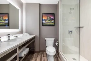 Cambria Hotel College Park - Salle de bain