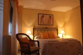 Alojamiento La Olmedana - Chambre
