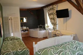 Gîte François 1er - Room