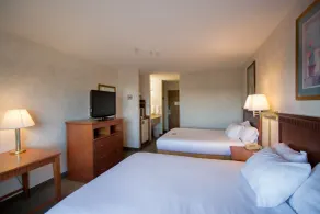 Vagabond Inn Executive - Rom