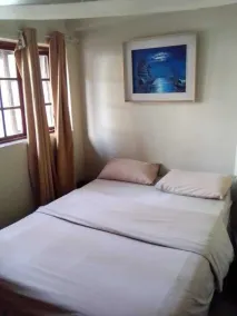 Rosebank Lodge & Backpacker - Room