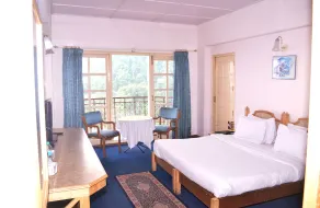 Toshali Royal View ,S H I M L A - Room