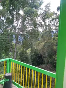 Hostal y Camping Los Girasoles - View from room