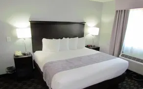 Oak Hill Inn & Suites - Værelse