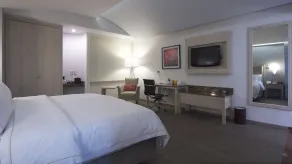 Holiday Inn Express Mexico- Toreo by IHG - Room