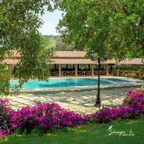 Shangri La Jungle Resort - Piscina