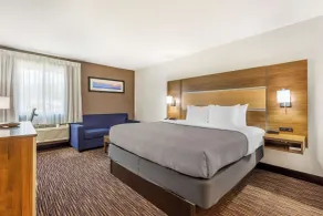 Quality Inn Asheboro South - Chambre