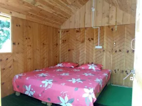 Vedic Home Stay - Room