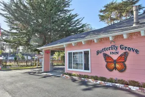 Butterfly Grove Inn - Chambre